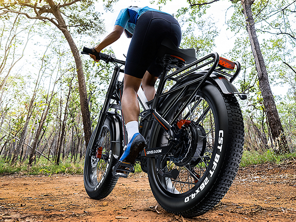 Choosing Your First Fat Tire E-Bike: A Real-World Buying Guide