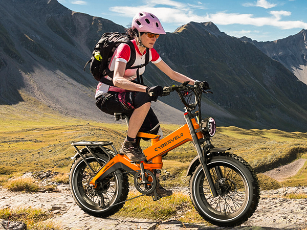 Choosing Your Off-Road Beast: 48V or 60V Fat Tire E-Bike?